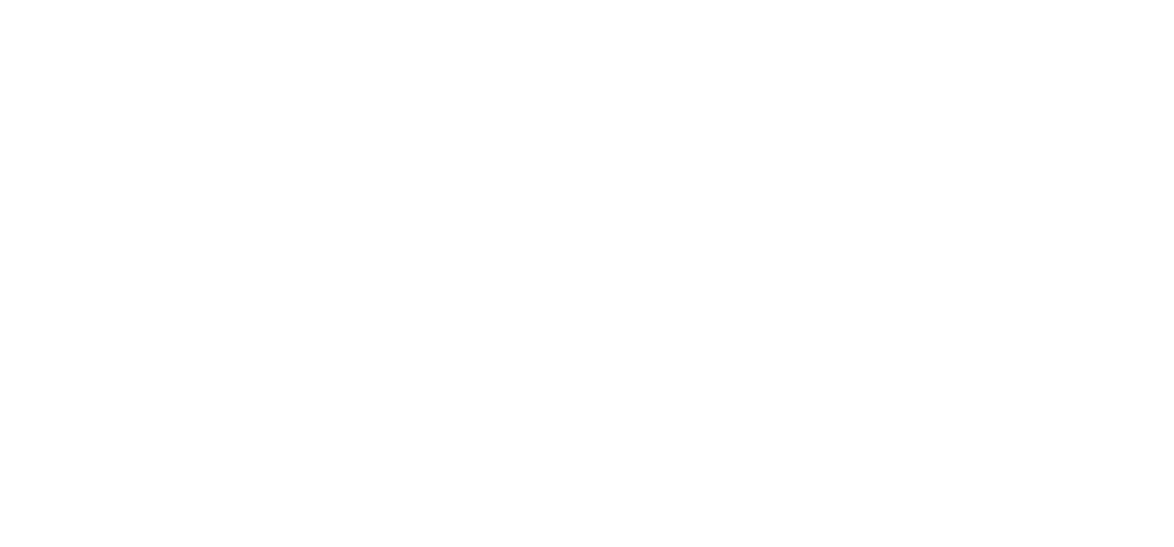 Zing Events logo